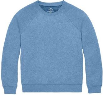 primary Adult Cozy Fleece Sweatshirt in Heather Vintage Blue at Nordstrom, Size X-Small