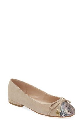 Pelle Moda Saida Ballet Flat in Mushroom at Nordstrom, Size 5