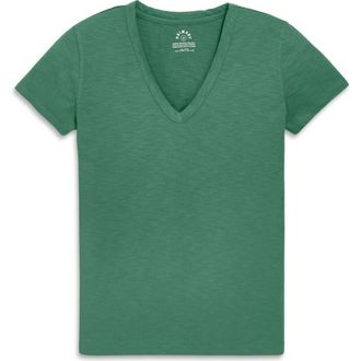primary Adult Classic Slub V-Neck Tee in Chive at Nordstrom, Size Xx-Large