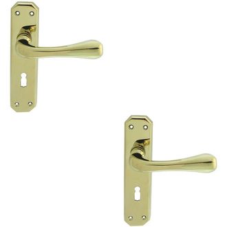 Loops 2x PAIR Heavy Duty Handle on Angular Lock Backplate 180 x 40mm Stainless Brass in Metallics