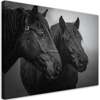 Feeby Cuadro Sobre Lienzo, Cabezas De Caballo Negras Animales Naturaleza, 100x70