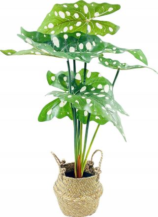 Home&Styling Planta Artificial Eurofirany Home Styling Collection Verde 30x51 Cm