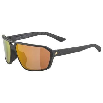 Alpina Swift Mirror S2 Sonnenbrille - Unisex | grau