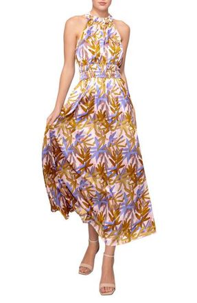 Melloday Print Ruffle Sleeveless Maxi Dress in Blush Multi at Nordstrom, Size X-Small
