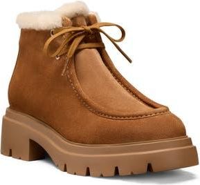 Stuart Weitzman Hudson Genuine Shearling Lined Chukka Boot in Doe/Vanilla at Nordstrom Rack, Size 7.5