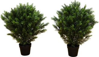 Nearly Natural Set Of 2 Indoor/Outdoor Uv-Resistant 3Ft Artificial Cedar Trees