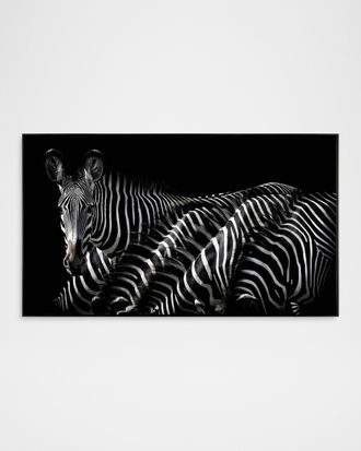 John-Richard Dazzle of Grevys Framed Wall Art by Rodney Bursiel