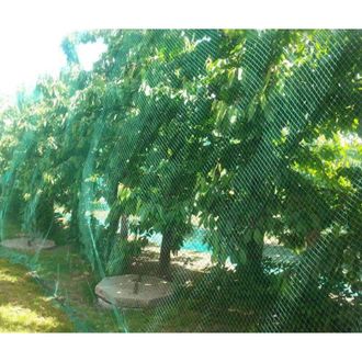 OEM Rete Anti-uccelli Resistente Per La Protezione Di Giardini E Coltivazioni, Maglia Anti-uccelli, Cervi, Gatti, Cani, Polli, 4 M 5 M