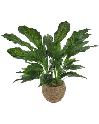 Creative Displays Inc. Uv-Rated Spathiphyllum Plant In Seagrass-Wrapped Pot