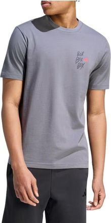 adidas Motorsport Box 3 Graphic T-Shirt Asia Sizing Grey KC7113