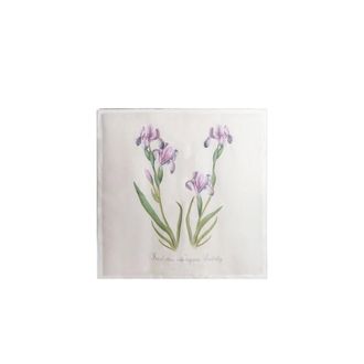 Alberta Ferretti Silk scarf with thistle print - female - Alberta Ferretti - Silk Scarves - Beige - ONE SIZE - Accessories