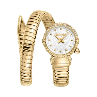Just Cavalli Radiosa Silver-tone Dial Ladies Watch JC1L350M0025
