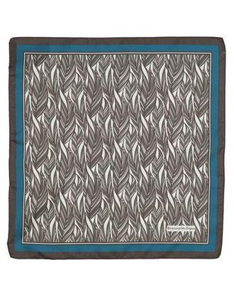 Ermenegildo Zegna Scarves
