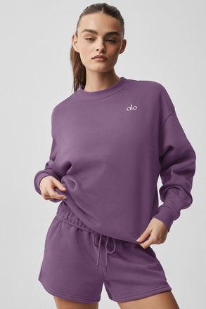 Alo | Accolade Crewneck Neck Pullover Top in Plum Kiss Purple, Size: Small