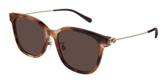 Gucci GG1884SK Asian Fit 004 Womens Sunglasses Tortoiseshell Size 56