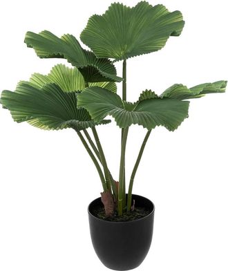 Atmosphera Atmosphera - Palmera Artificial - Maceta De Cemento - H65 Cm Cr&eacute;ateur DInt&eacute;rieur