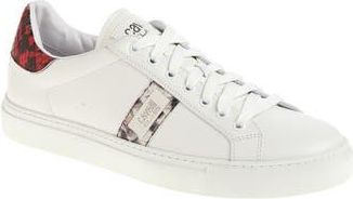 Roberto Cavalli Logo Plate Sneaker in White at Nordstrom Rack, Size 11.5