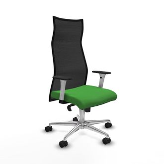 Piqueras y Crespo Silla De Oficina Piqueras Y Crespo B1b086n Verde