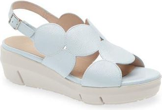 Wonders Platform Sandal in Lack Aura at Nordstrom, Size 9.5-10Us