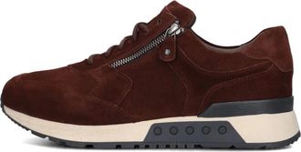 Greve Schoenen, Heren, Bruin, 43 EU, Wol, Heren Sneakers Haarlem K