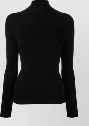 Parosh fitted turtleneck knitwear long sleeves