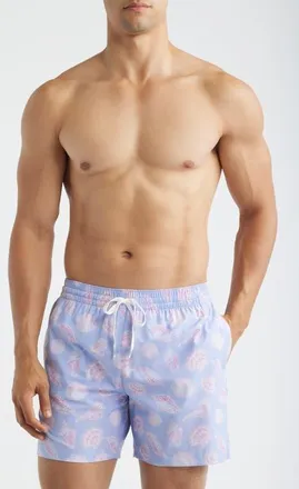 Chubbies Shell Yeahs 5.5-Inch Swim Trunks in Light/pastel Purple at Nordstrom, Size Xx-Large