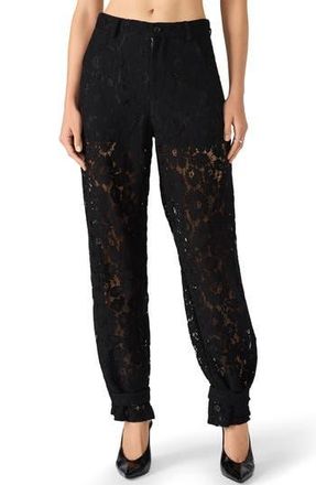 Steve Madden Tre Guipure Lace Pants in Black at Nordstrom Rack, Size Small