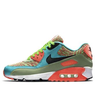 Nike Air Max 90 Anniversary 725235-306