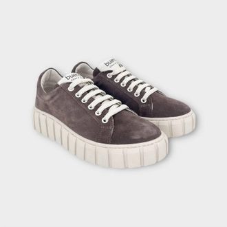 Bueno Womens Talia Platform Sneaker In Espresso Suede