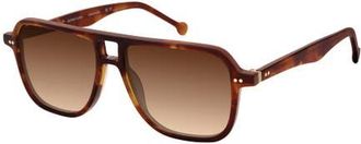 Colors In Optics Redford Sunglasses in Honey Tortoise at Nordstrom