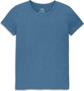 primary Adult Classic Slub Crewneck Tee in Moonlight at Nordstrom, Size Xx-Large