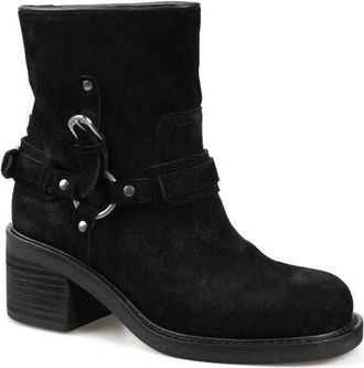 Candie's Fridda Moto Bootie in Black at Nordstrom, Size 11