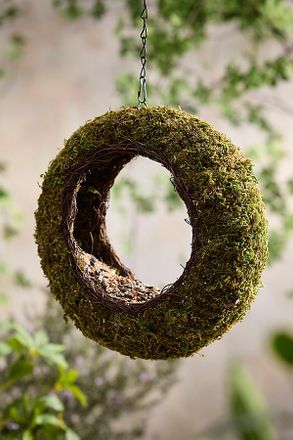 Terrain Moss Ring Bird Feeder
