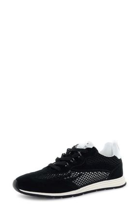 Voile Blanche Play Mesh Sneaker in Black at Nordstrom, Size 11Us