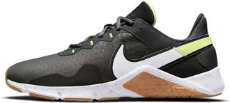 Nike Legend Essential 2 Iron Grey Limelight CQ9356-016