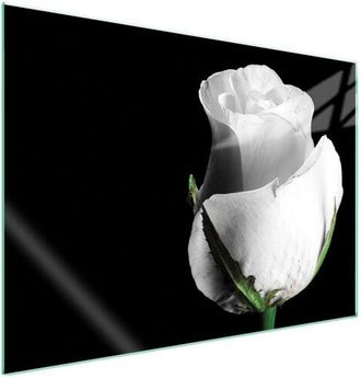 OEM Placa Protectora De Vidrio Para Estufa 70x52 Rosa