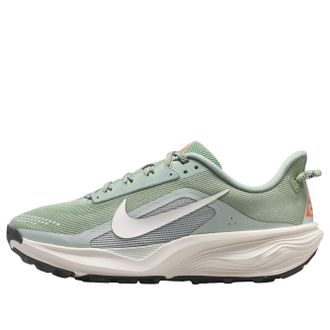 Nike (WMNS) Nike x ACG Pegasus Trail Jade Horizon Light Silver HV8121-310