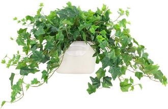 Creative Displays Inc. Handmade Faux Ivy Bunches In A Ceramic Vase