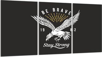 OEM Placa Protectora De Vidrio Para Estufa 3x30x52