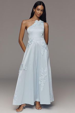 Hutch Adelaide One-Shoulder Maxi Dress