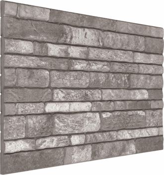 vidaXL Paneles De Pared 10 Uds. 100 X 50 Cm Gris Oscuro Espuma Eps Vidaxl