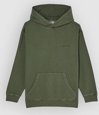 Element Lowcase Pigment Po Kids Hoodie groen