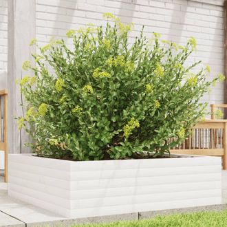 vidaXL Vidaxl - Jardinera De Madera Maciza De Pino Blanca 80x80x23 Cm