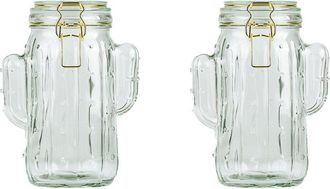 10 Strawberry Street Set Of 2 Saguaro Medium Hermetic Jars