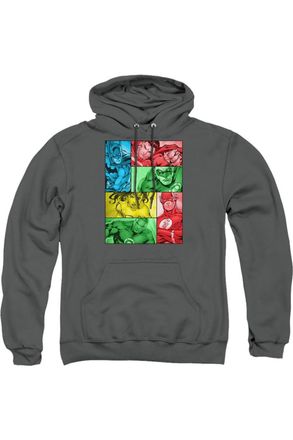 Gildan Justice League of America Hero Boxes Adult Pull Over Hoodie / Hooded Sweatshirt