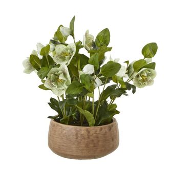 Hill Interiors Hellebore Artificial Potted Plant 85cm x 52cm x 52cm in Green | Size: 85 cm x 52 cm x 52 cm