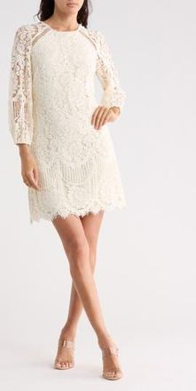 Vince Camuto Raglan Long Sleeve Lace Dress in Cream at Nordstrom Rack, Size 10