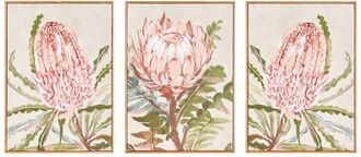 Napa Home & Garden Handmade Set Of 3 Queen Protea Giclees