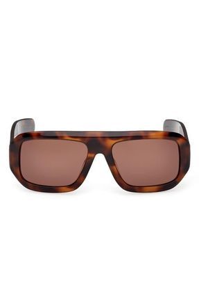 adidas 58MM Navigator Sunglasses in Dark Havana /Brown at Nordstrom