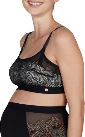 Cache Coeur Dahlia underwired maternity and nursing bra in Black at Nordstrom, Size Xx-Large